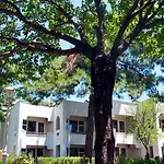 Capre Mare Hotel Didim