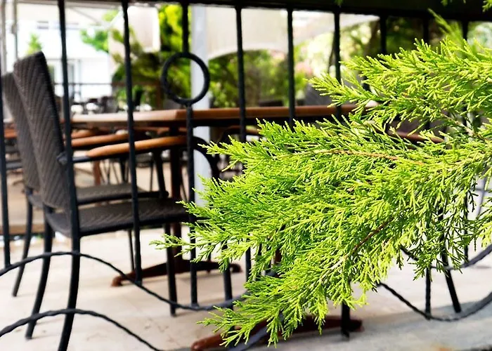 Capre Mare 3* Ντιντίμ